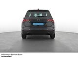 Volkswagen Tiguan Active TSI Pano  Navi  SHTZ  LED - Volkswagen Tiguan: Tsi
