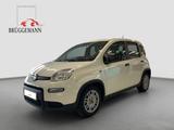 Fiat Panda 1.0 Hybrid + Techpaket - Fiat Panda mit Hybrid-Antrieb