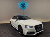 Audi S5 3.0 TFSI S tronic quattro Cabrio*B&O*Kamera* - Audi: 3.0