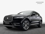 Jaguar F-Pace P400e AWD SE - Jaguar F-Pace in München