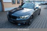 BMW 230i Sport-Aut. Cabrio *M-SPORTPAKET*H&K*KAMERA* - : Cabrio, Sportpaket
