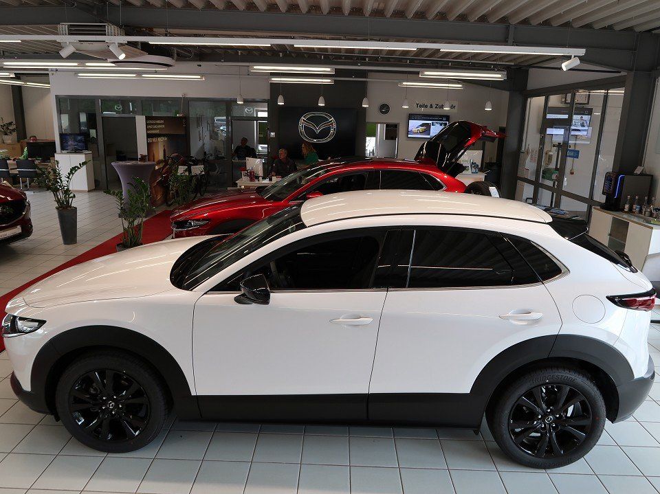 Mazda CX-30 2.5L*SITZHEIZUNG*EL. HECKKLAPPE* HOMURA*18 imagem 2