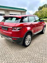 Land Rover Range Rover Evoque 2.2 eD4 Prestige Prestige - Land Rover Range Rover Evoque Prestige mit Diesel-Antrieb