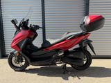 Honda FORZA 125 / SEHR GEPFLEGT / NEUER SERVICE !! - HONDA ROLLER 125