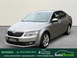 Skoda Octavia Lim. Elegance 1.4TSI+AHK+Bi-Xenon+WKR+Ga - Skoda Octavia: Limousine