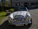 Austin Healey MK1 - Austin mit Benzin-Antrieb: Cabrio