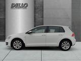 Volkswagen Golf Comfortline BlueMotion 1.4 TGI Sperrdiff. A - Volkswagen Golf mit CNG-Antrieb