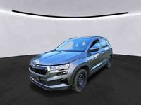 Skoda Karoq - Vorschau Bild 2