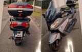 Suzuki Burgmann 650 Executive - Carbonoptik  - Angebote entsprechen deinen Suchkriterien