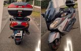 Suzuki Burgmann 650 Executive - Carbonoptik  - Offers matching your search criteria