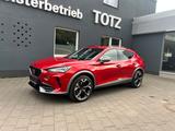 Cupra Formentor VZ 4Drive *RFK*AHK*SHZ*ACC - rote Cupra Formentor