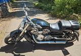 Harley-Davidson V-ROD MUSCLE VRSCF  - HARLEY-DAVIDSON V ROD MUSCLE VRSCF