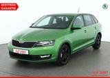 Skoda Rapid Spaceback 1.0 TSI Bi-Xenon Navi DAB PDC - Skoda: Grün