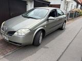Nissan Primera P12 - Nissan Primera P12 mit Benzin-Antrieb
