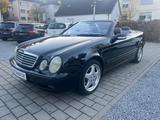 Mercedes-Benz CLK 200 KOMPRESSOR AVANTGARDE LEDER NAVI XENON - Mercedes-Benz CLK 200 Gebrauchtwagen in Stuttgart