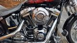 Harley-Davidson Softail Springer  - HARLEY-DAVIDSON SPRINGER