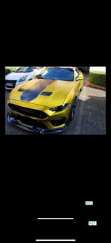 Ford Mustang 5.0 Ti-VCT V8 Bullitt Bullitt - Ford Mustang: Bullitt