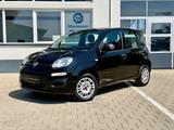 Fiat Panda Easy 1.HAND|KLIMA|TÜV-NEU - gebrauchte Fiat Panda aus dem Jahr 2019