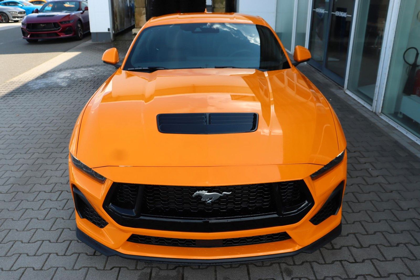 Ford Mustang Fastback 5.0 MagneRide 4,99% FIN* imagem 2