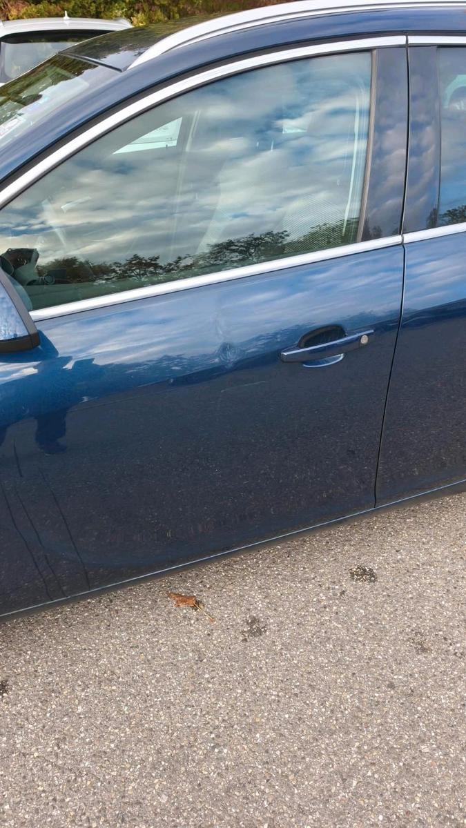 Opel Insignia 2011 — photo 14