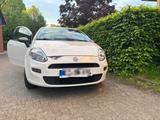 Fiat punto Young - Fiat Punto: Young