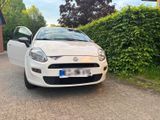 Fiat punto Young - Fiat Punto: Young