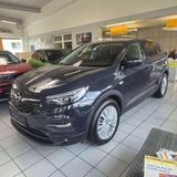 Opel Grandland X Business Edition, AHK - Opel Grandland (X) Business-Edition mit Benzin-Antrieb