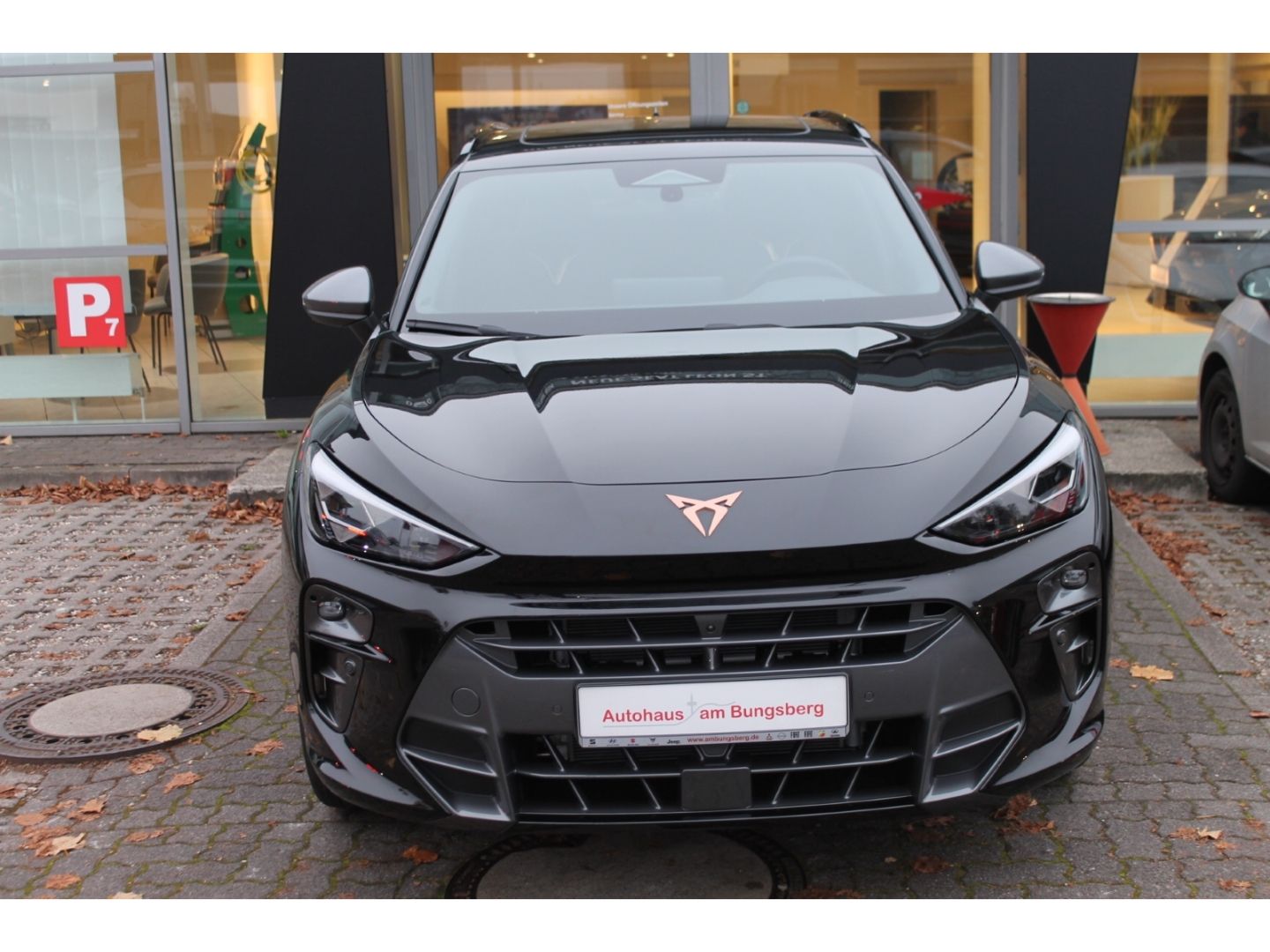 Cupra Terramar - Bild 3
