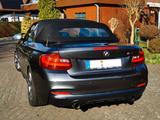 BMW M235i xDrive Steptronic Cabrio - - BMW M235 aus 2015