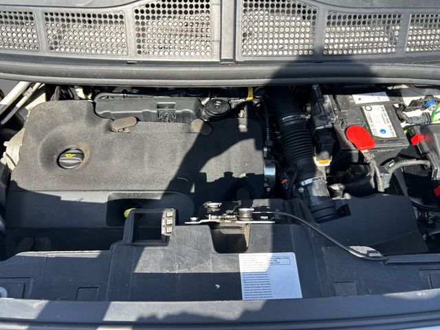 Proace L1 Kasten Meister