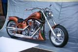 Harley-Davidson Harley Davidson by Sava Custom lake of Constance - HARLEY-DAVIDSON LA