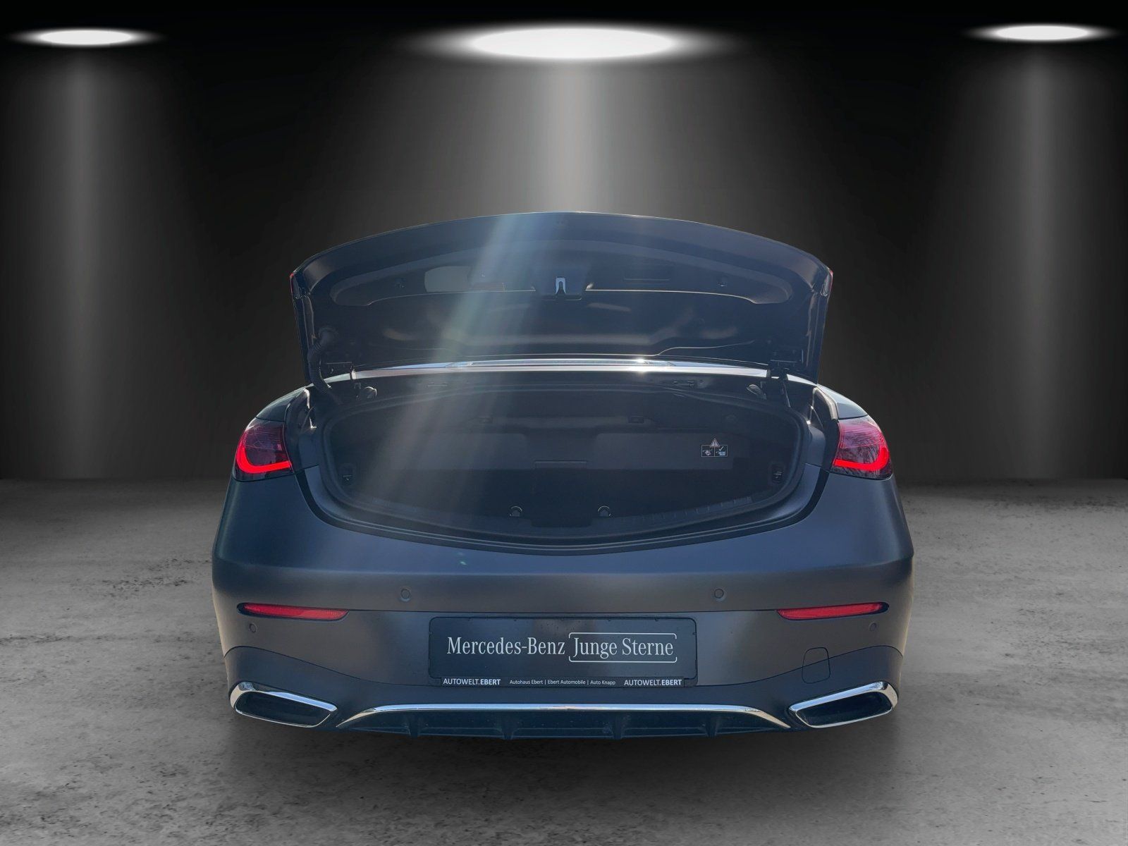 Fahrzeugabbildung Mercedes-Benz CLE 450 Cab AMG Prem+ MAGNO Standhzg AHK Sitzkli
