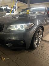 BMW 220i Cabrio M Sport, Radio Professional, Harman  - BMW: Navigationssystem, Professional