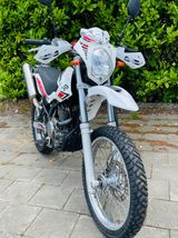 Beta ALP 4.0 - BETA ALP