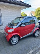 Smart Passion - Smart #1 von privat