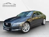 Jaguar XF Portfolio AWD 1.HAND/14.000 TKM/PANO/ACC/NAVI