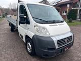 Fiat Ducato Pritsche 35 160 Power  L5*3,0L*AHK - Fiat Ducato: 3.0