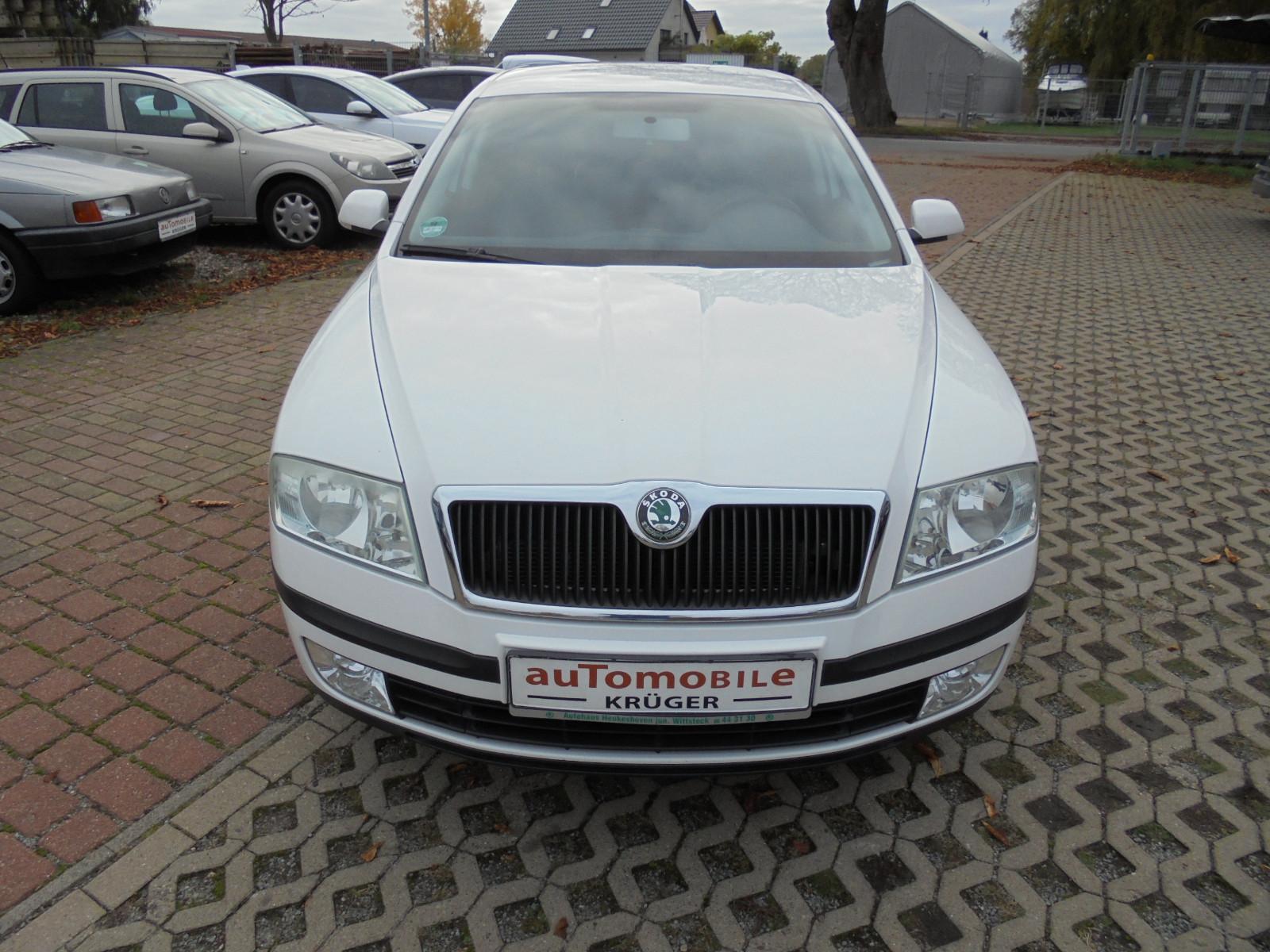 Skoda Octavia 2006 — вигляд ззаду