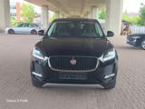 Jaguar E-PACE P200 4WD,Auto,Keyless Entry,Merid,LED,AHK - Jaguar: 4.2