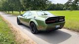 Dodge Challenger SRT Hellcat Widebody /F8-Green/Grail  - Dodge Challenger in Frankfurt (Main)