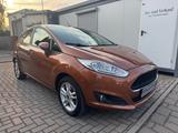 Ford Fiesta Celebration - Ford Fiesta: Celebration