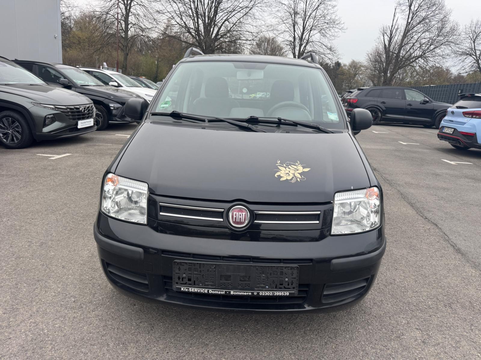 Fiat New Panda 1.2 8V Dualogic Dynamic