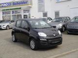 Fiat Panda Easy - Fiat Panda: Schwarz