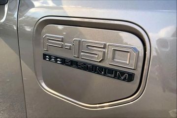Ford F150 Lightning Platinum gr. Batterie im Vorlauf