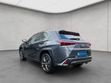 Lexus UX 250h F-Sport Design - Lexus UX: F Sport Design