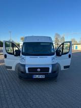Fiat Ducato 250 Tüv Neu! - Fiat Ducato Gebrauchtwagen in Stuttgart