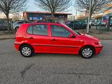 Volkswagen Polo 1.4 Trendline-104Tkm-TÜV NEU - Volkswagen Polo aus 2001: 4.1