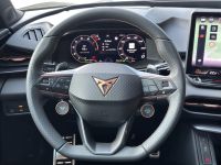 Cupra Terramar - Vorschau Bild 8