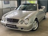 Mercedes-Benz CLK 230 Cabrio Elegance nur 29.TKM ! TOP ! - Mercedes-Benz CLK 230 mit Benzin-Antrieb