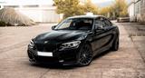 BMW M235i  - Alcantara - Handschalter  - BMW M235: M235i